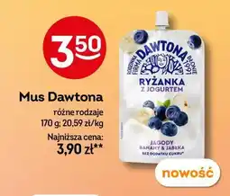 Żabka Mus Dawtona Ryżanka oferta