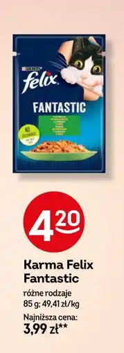 Żabka Karma Felix Fantastic oferta
