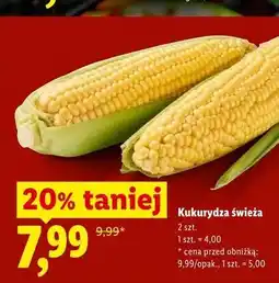 Lidl Kukurydza świeża oferta
