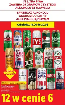 Lidl Wszystkie piwa w puszce oferta