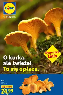 Lidl Ryneczek Lidla Kurki oferta