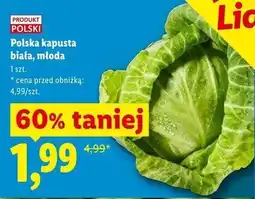 Lidl Polska kapusta biała, młoda oferta