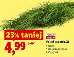 Lidl Polski koperek, XL oferta