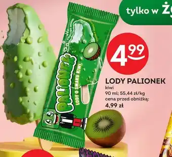 Lody Palionek kiwi