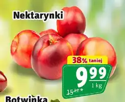 Prim Market Nektarynki oferta