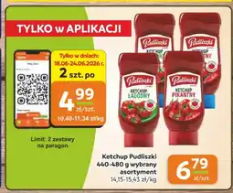 Gama Ketchup łagodny Pudliszki oferta