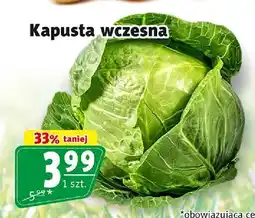 Prim Market Kapusta wczesna oferta