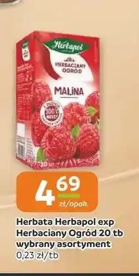 Gama Herbata Herbapol exp Herbaciany Ogród Malina oferta