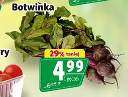 Prim Market Botwinka oferta