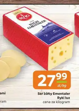 Gama Ser żółty Ementaler Ryki luz oferta