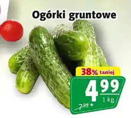 Prim Market Ogórki gruntowe oferta