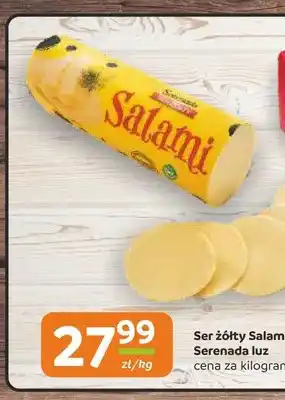 Gama Ser żółty Salami Serenada luz oferta