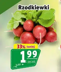 Prim Market Rzodkiewki oferta