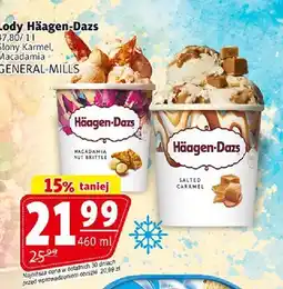 Prim Market Lody Häagen-Dazs Słony Karmel oferta