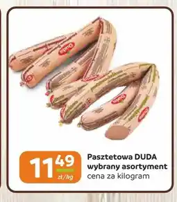 Gama Pasztetowa Duda oferta