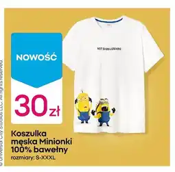 Pepco Koszulka męska Minions oferta
