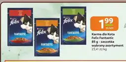 Gama Karma dla kota Felix Fantastic oferta
