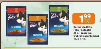 Gama Karma dla kota Felix Fantastic oferta