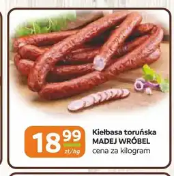 Gama Kiełbasa toruńska Madej Wróbel oferta