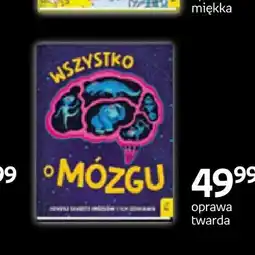 Empik Książka Wszystko o mózgu oferta