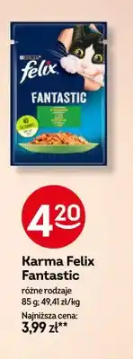 Żabka Karma dla kotów Felix Fantastic oferta