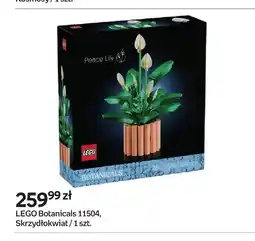 Empik Klocki LEGO Botanicals 11504 Skrzydłokwiat oferta