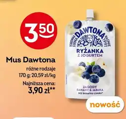 Żabka Mus Dawtona Ryżanka z jogurtem jagody banany & jabłka oferta