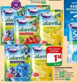 Dino Galaretka Gellwe oferta