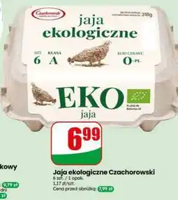 Dino Jaja ekologiczne Czachorowski oferta