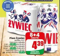 Dino Piwo Żywiec oferta