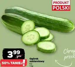 Netto Ogórek szklarniowy oferta