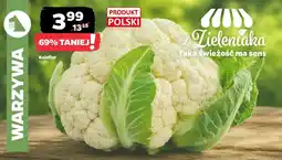 Netto Kalafior oferta