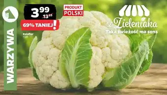 Netto Kalafior oferta
