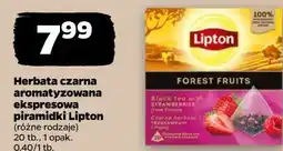 Netto Herbata czarna aromatyzowana ekspresowa piramidki Lipton oferta