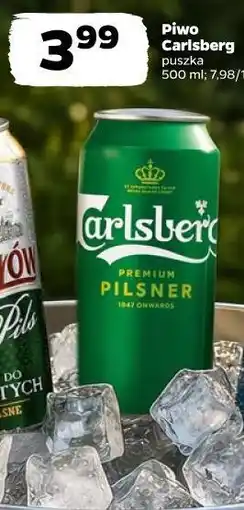 Netto Piwo Carlsberg oferta