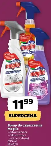 Netto Spray do czyszczenia Meglio oferta