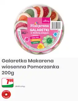Dino Galaretka Makarena wiosenna Pomorzanka oferta
