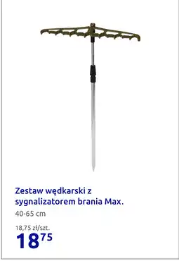 Action Zestaw wędkarski z sygnalizatorem brania Max oferta