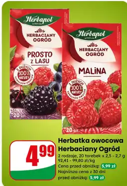 Dino Herbatka owocowa Herbaciany Ogród Herbapol oferta