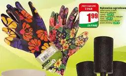Dino Rękawice ogrodowe oferta