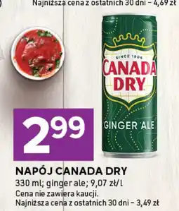 Stokrotka Napój Canada Dry ginger ale oferta