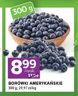 Stokrotka Borówki amerykańskie oferta