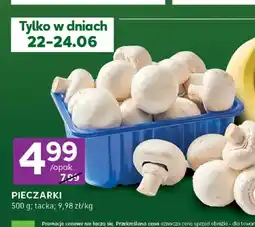 Stokrotka Pieczarki oferta