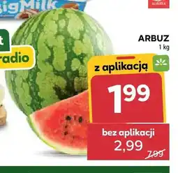 Stokrotka Arbuz oferta