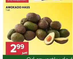 Stokrotka Awokado Hass oferta
