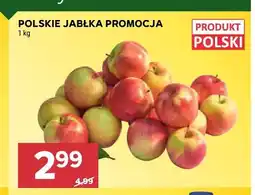 Stokrotka Jabłka polskie oferta