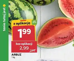 Stokrotka Arbuz oferta