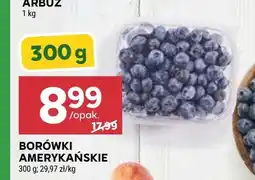 Stokrotka Borówki amerykańskie oferta