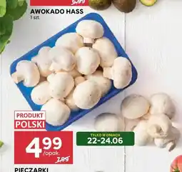 Stokrotka Pieczarki oferta