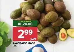 Stokrotka Awokado Hass oferta